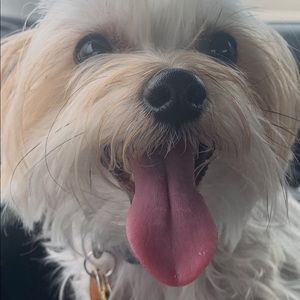 Meet your Posher, Bryan